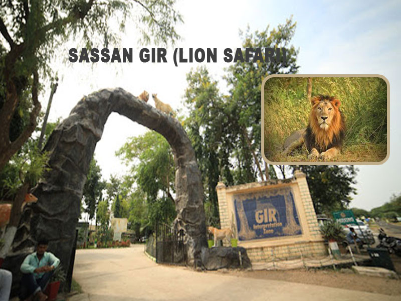 Sassan Gir Gujarat Car - Tempo - Taxi Cab Hire Service in Rajkot