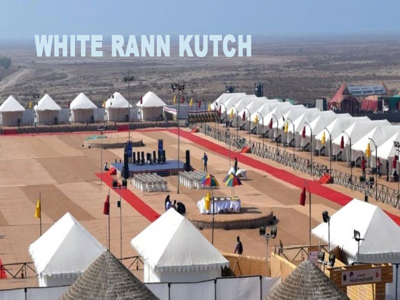 White Rann of Kutch Gujarat India Rental Tempo Travels Long Toure Cab | Car | Taxi | Tempo Hire Service in Rajkot
